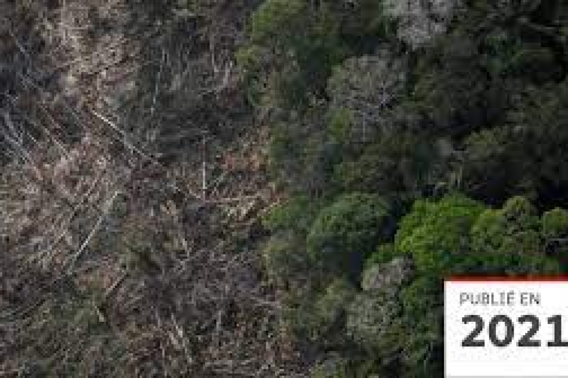 Les pays amazoniens décident de former une alliance pour lutter contre la déforestation